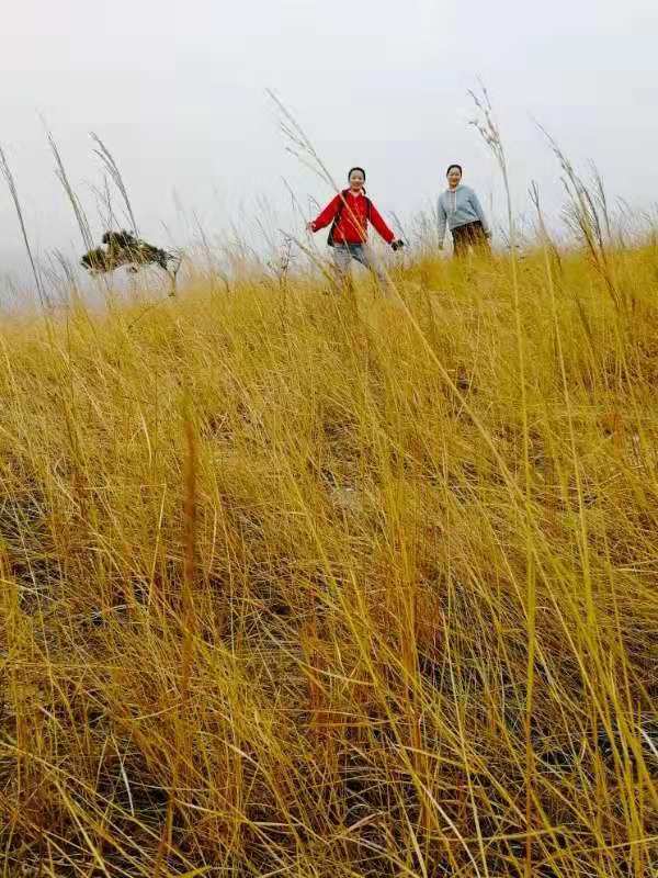 微信图片_201912161140413