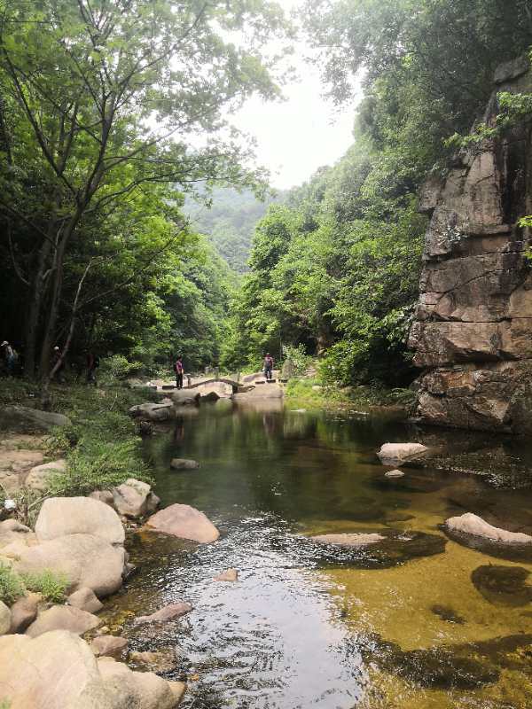 微信图片_202005251509392