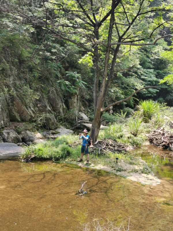 微信图片_202005251509397