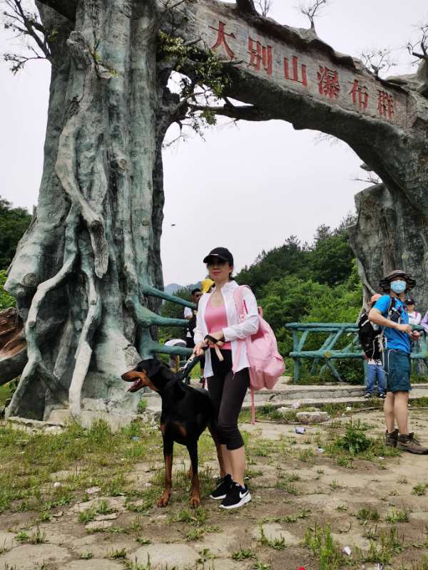 微信图片_202005251509398