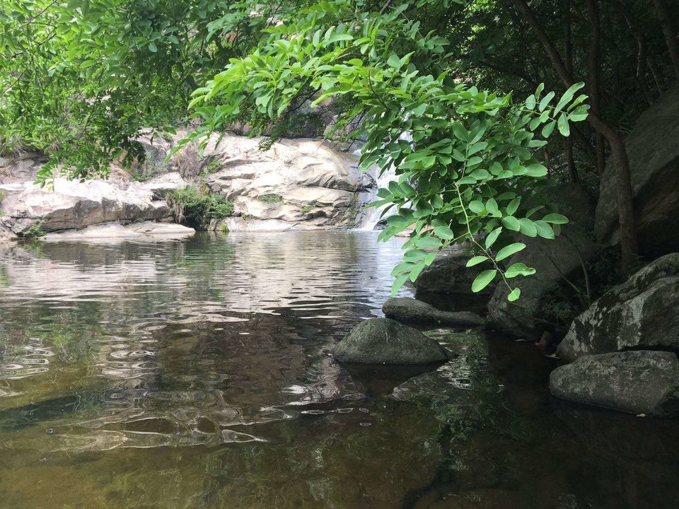 微信图片_2020052515094012