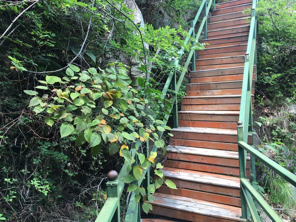 微信图片_2020052515094015