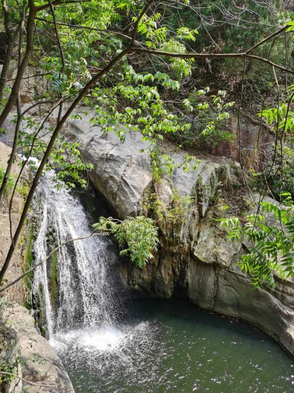 微信图片_2020052515094022