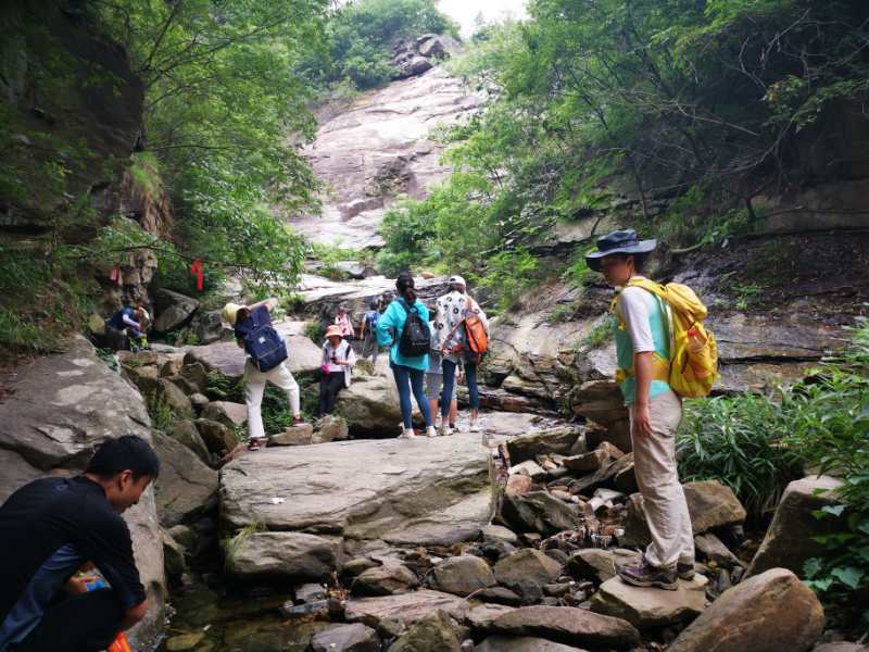 微信图片_20200604091730