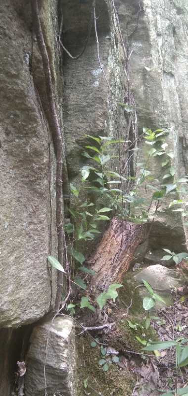 微信图片_20200604091801