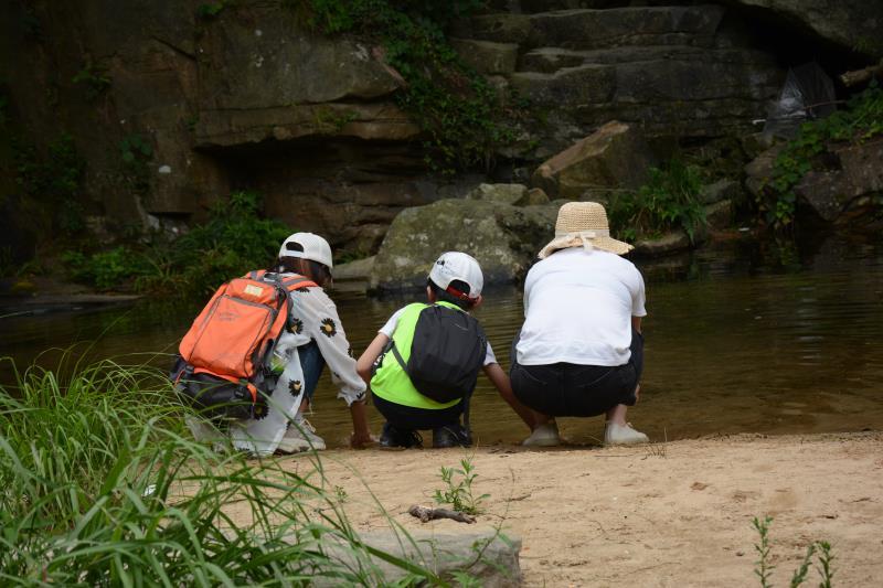 微信图片_202006040917051