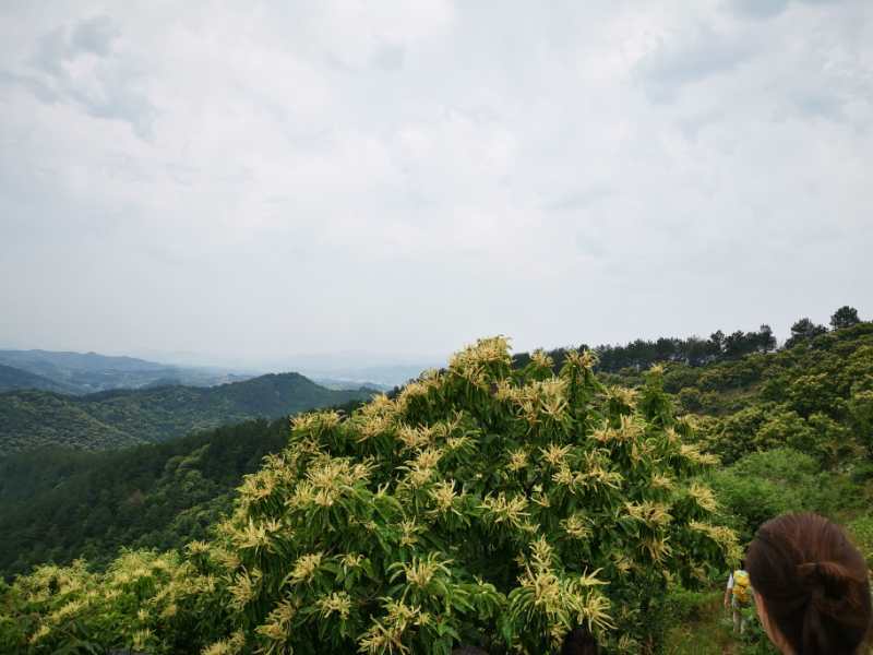 微信图片_202006040917052