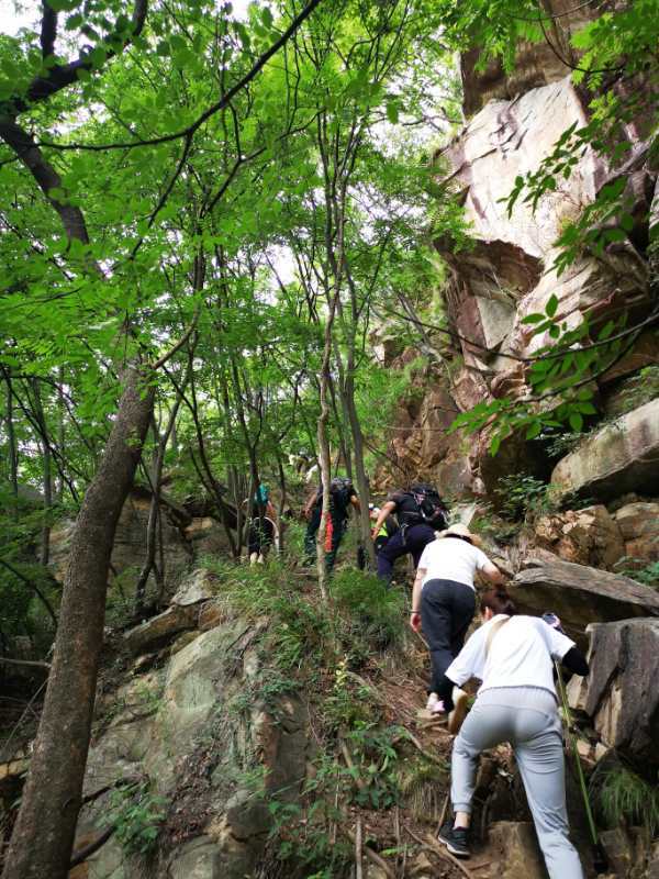 微信图片_202006040917053