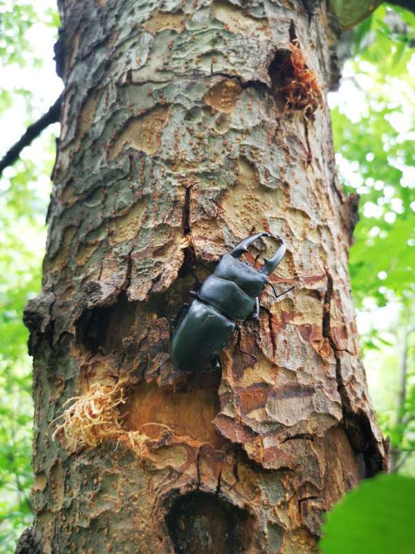 微信图片_202006040917055