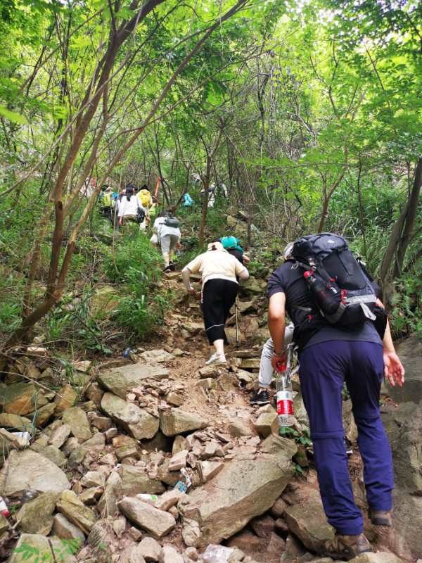 微信图片_202006040917056