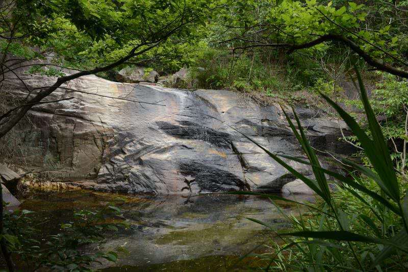 微信图片_202006040917302