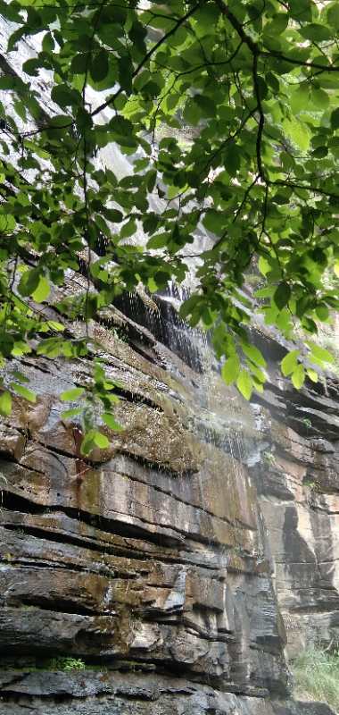 微信图片_202006040917304