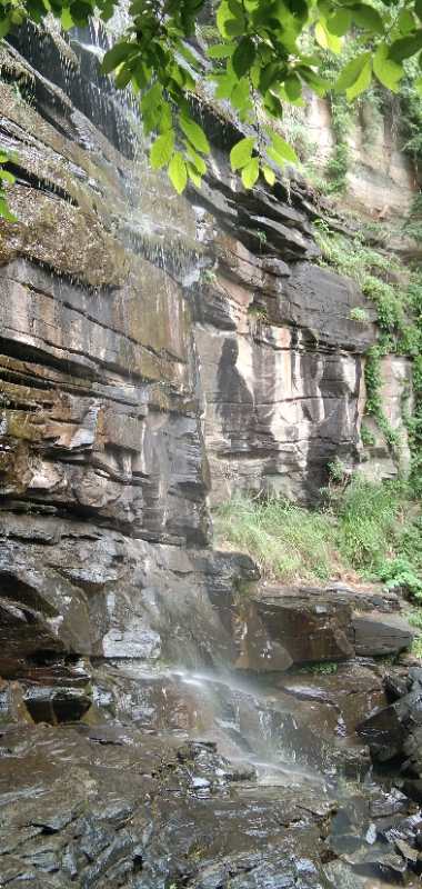 微信图片_202006040917305