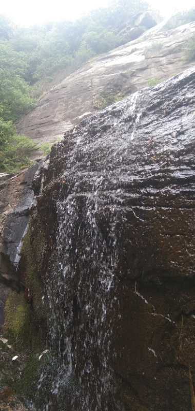 微信图片_202006040918011