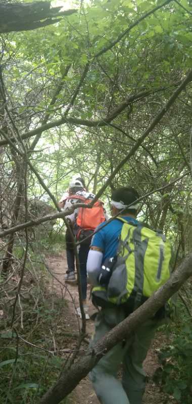 微信图片_202006040918013