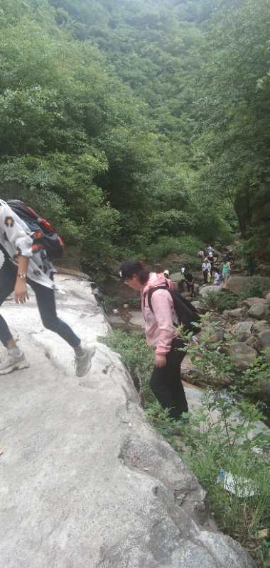 微信图片_202006040918015