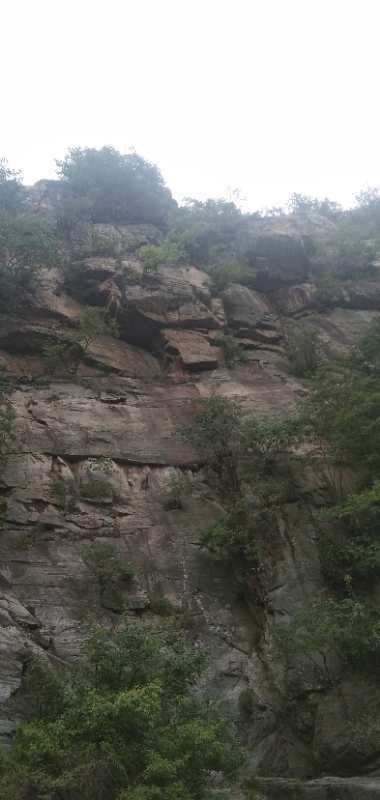 微信图片_202006040918016