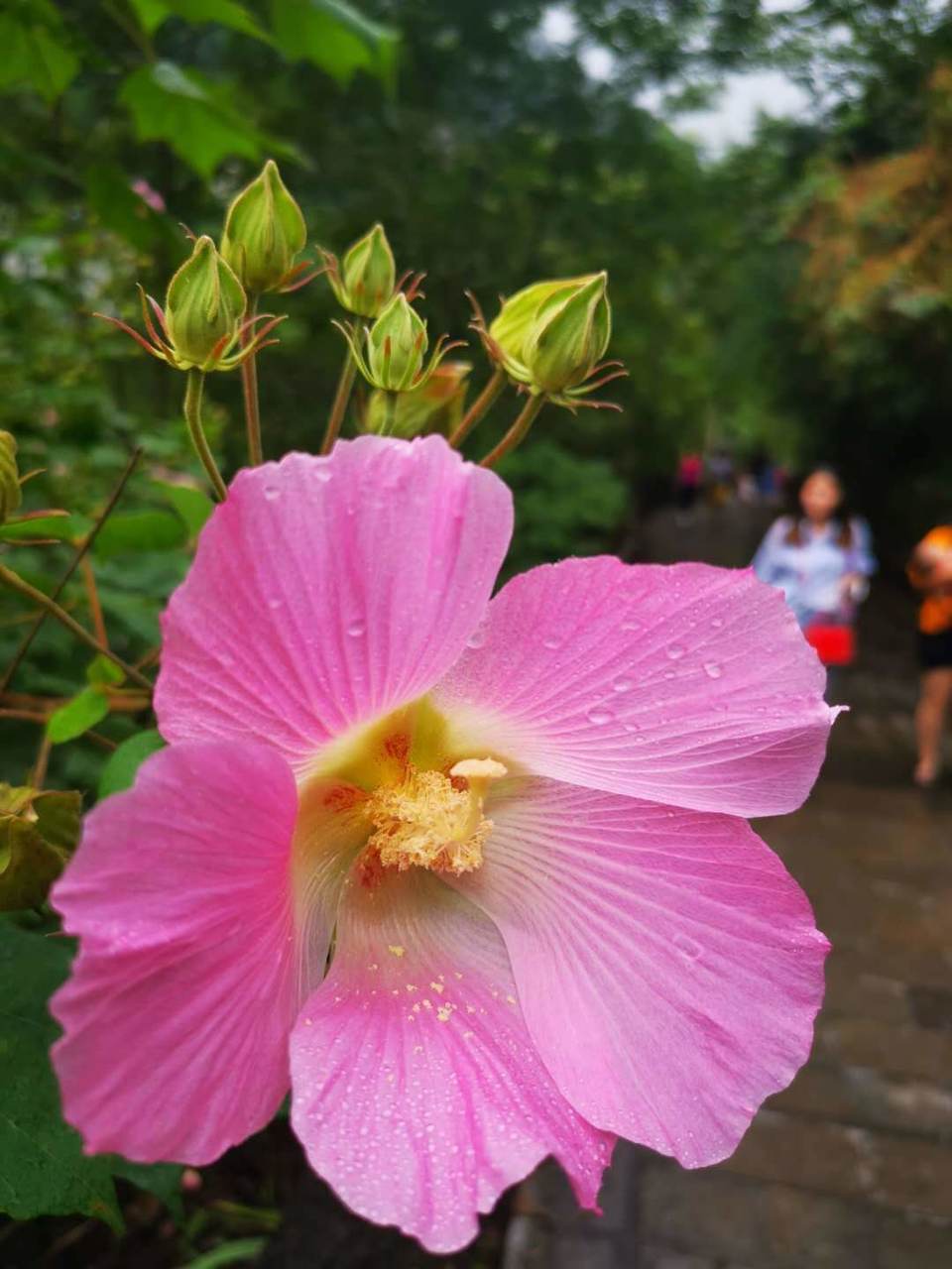 微信图片_202008241756291