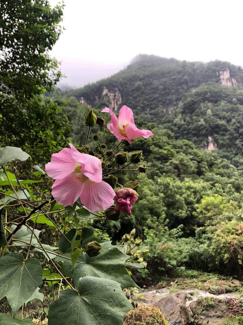 微信图片_202008241756581