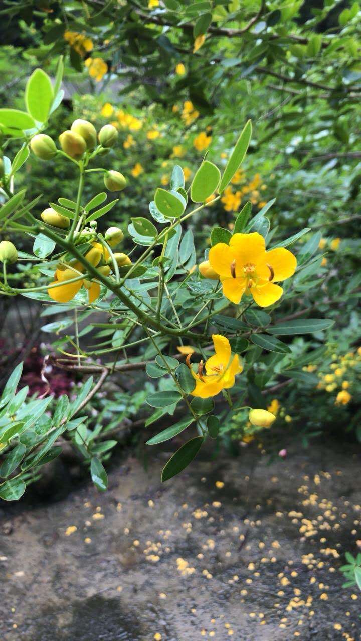 微信图片_202008241756582