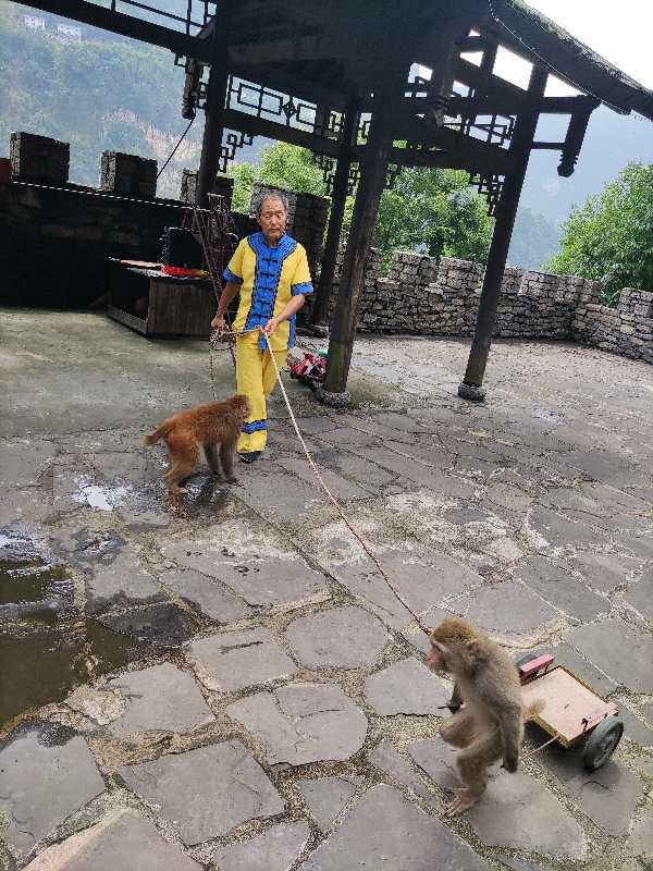 微信图片_202008241758004