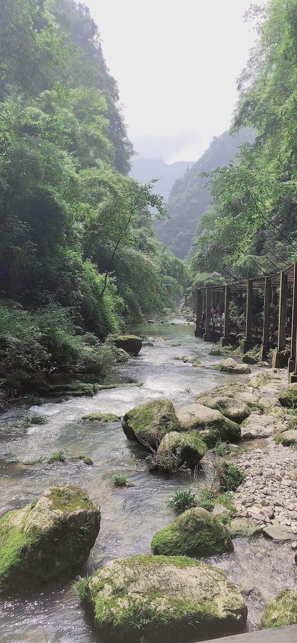 微信图片_202008241758321