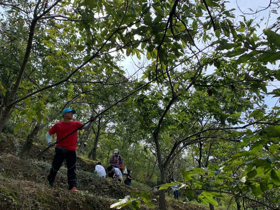 微信图片_20200914112332