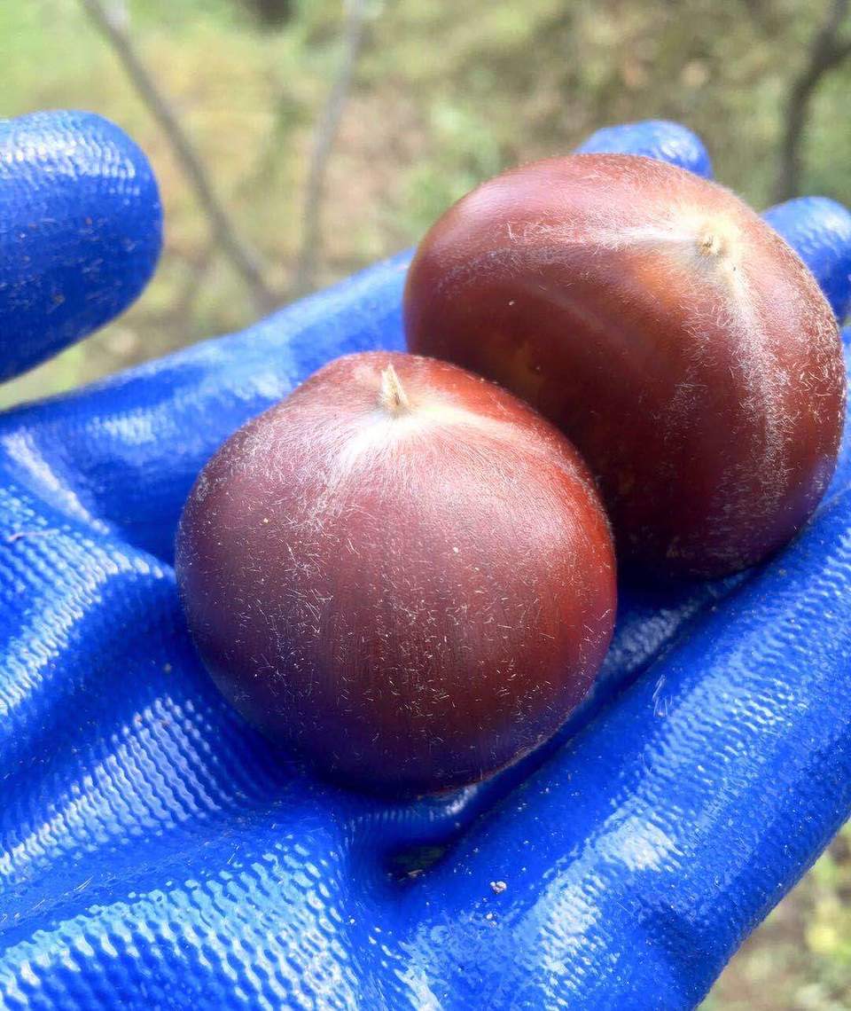 微信图片_202009141125303