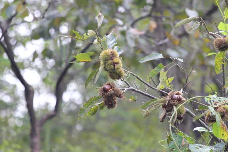 微信图片_202009141126063