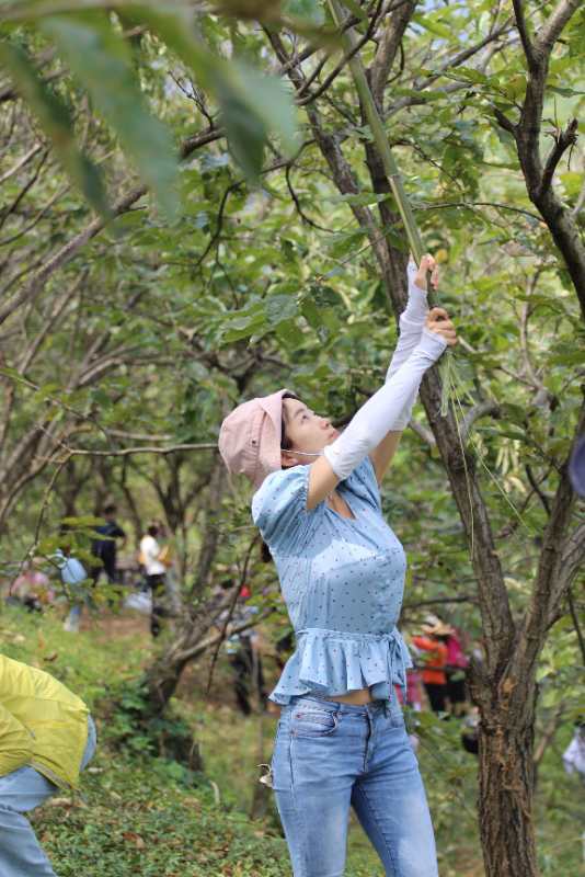 微信图片_202009141126064