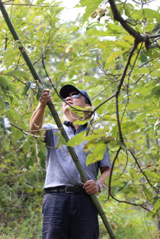 微信图片_202009141126065