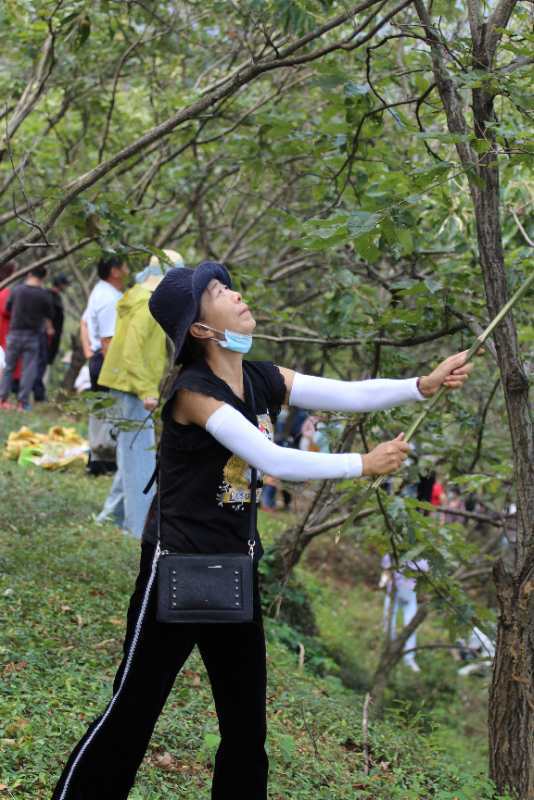 微信图片_202009141126066