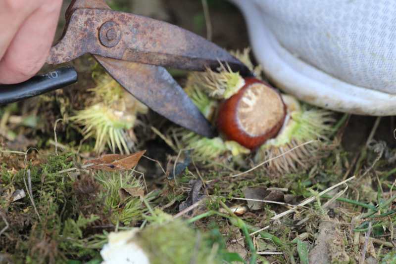 微信图片_202009141126323