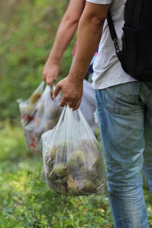 微信图片_202009141126325