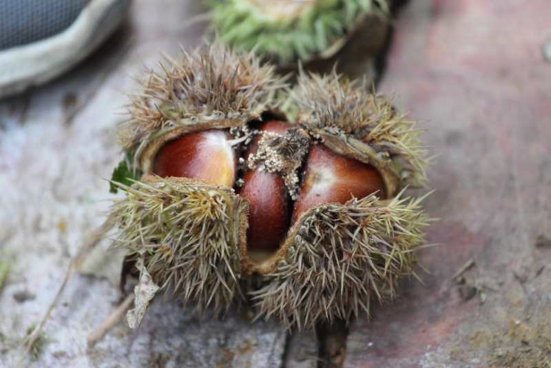 微信图片_202009141126326