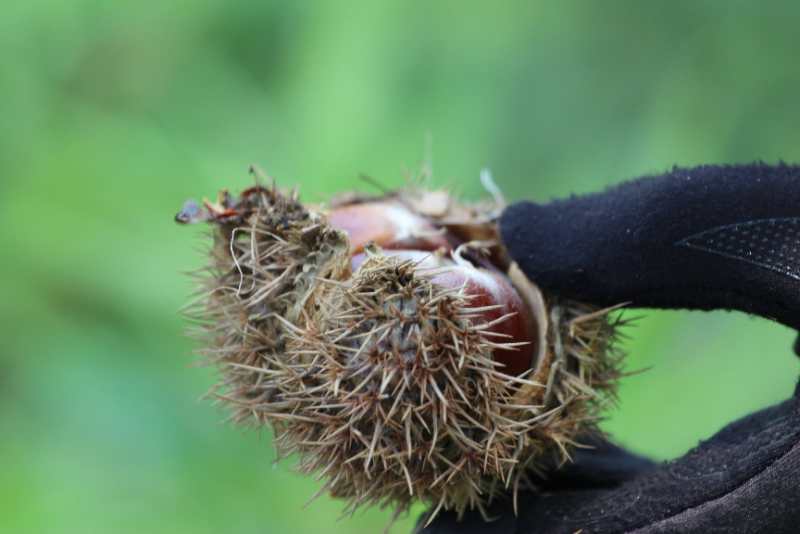 微信图片_202009141126327