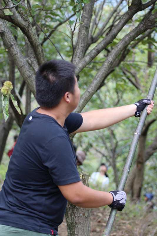 微信图片_202009141127153