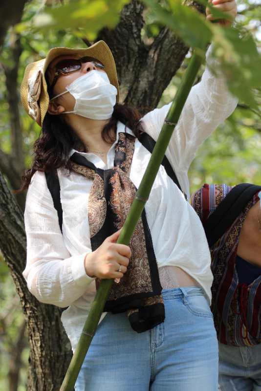 微信图片_20200914113735