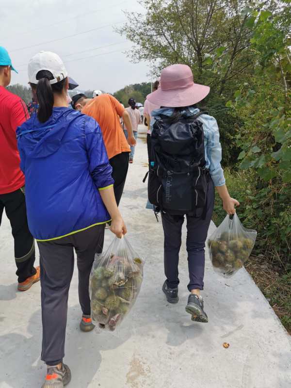 微信图片_202009141137357