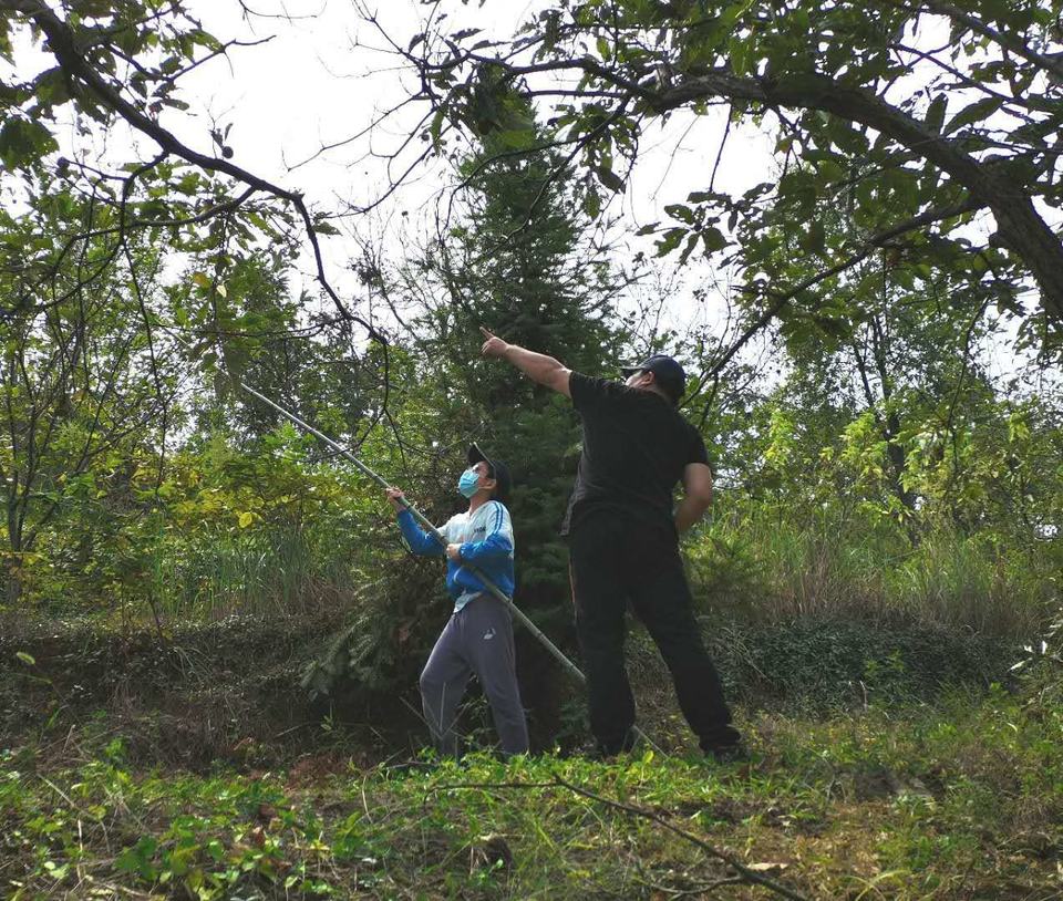 微信图片_202009141138001