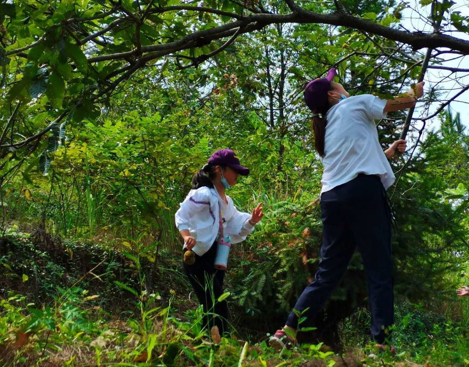 微信图片_202009141138002