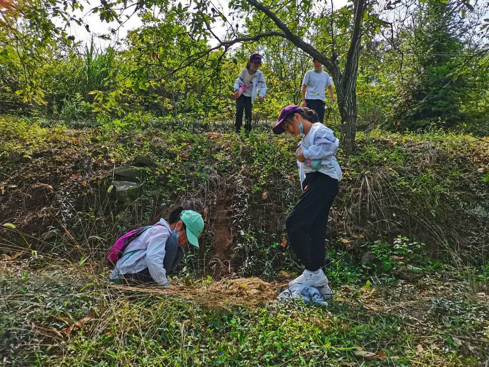 微信图片_202009141138003