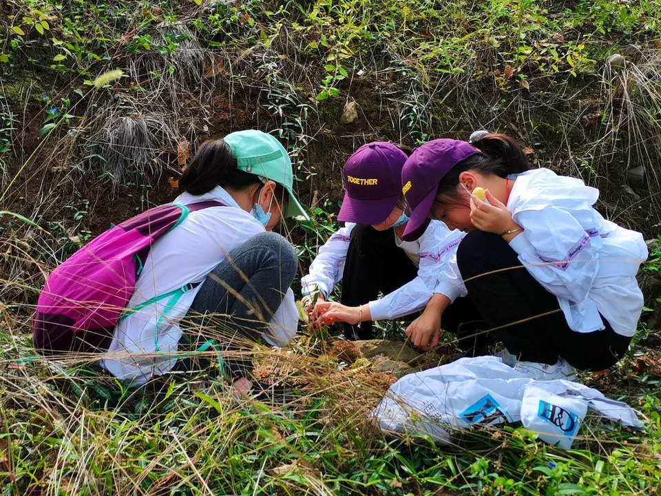 微信图片_202009141138004