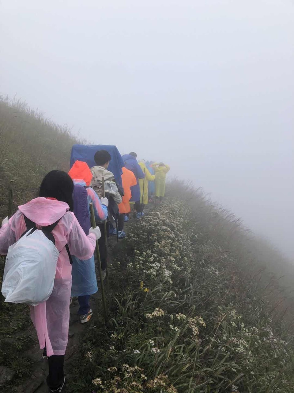 微信图片_20201009102734