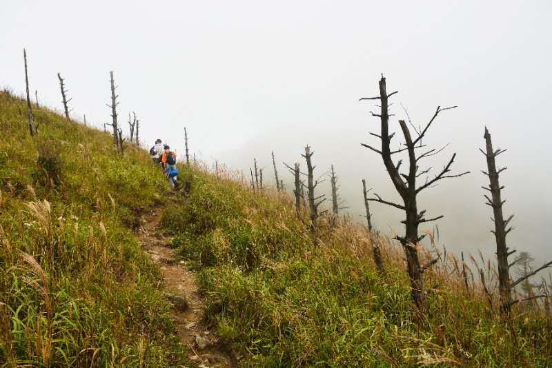 微信图片_20201009103300