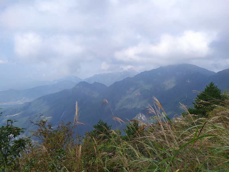 微信图片_20201009103442