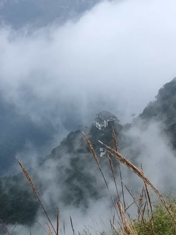 微信图片_202010091019185