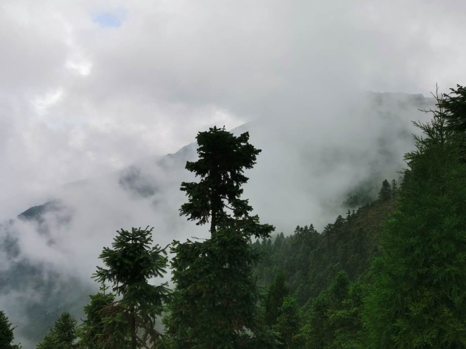 微信图片_202010091019566