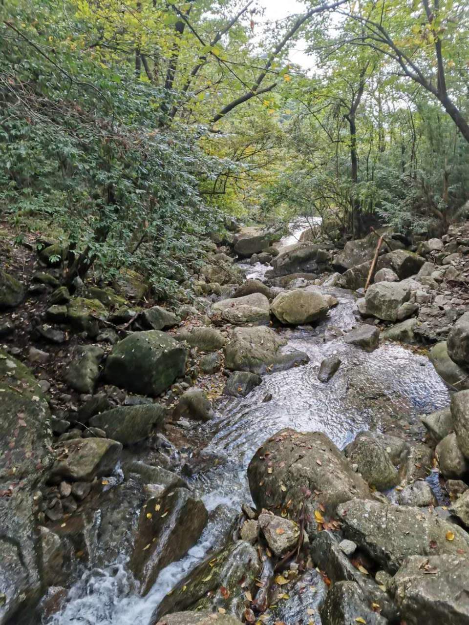 微信图片_202010091019567