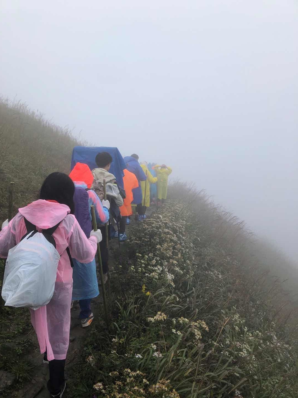 微信图片_202010091020171